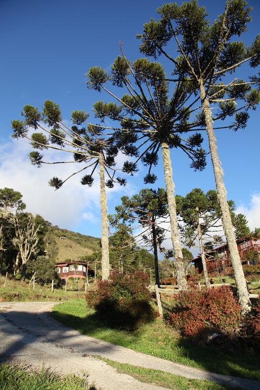 Fogo Eterno Urubici